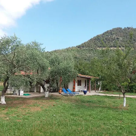 Olive Summer House 펜션