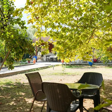 Case de vacanță Olive Summer House *