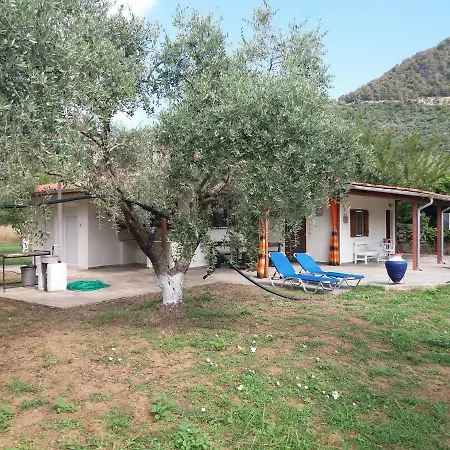 Case de vacanță Olive Summer House *