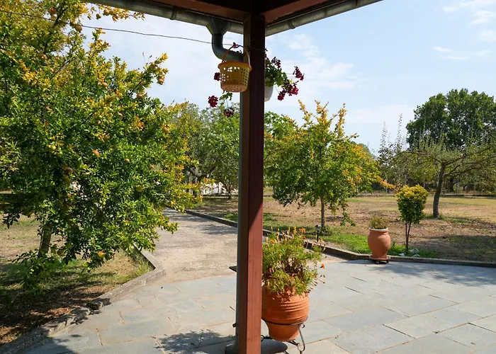Olive Summer House * 克里斯阿穆迪亚